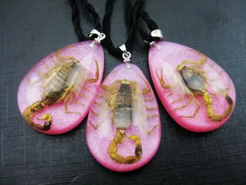 10 db yqtdmy igazi skorpió erotogenic rózsaszín divat medál Kép 0