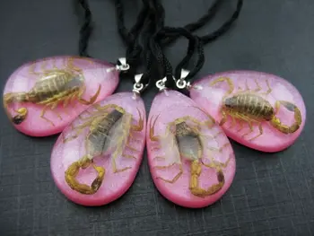 10 db yqtdmy igazi skorpió erotogenic rózsaszín divat medál Kép 1